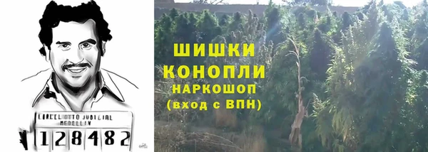 прущие грибы Горно-Алтайск