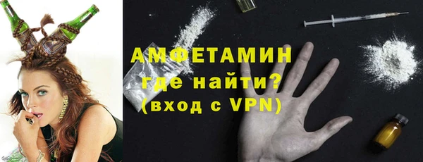 прущие грибы Горно-Алтайск