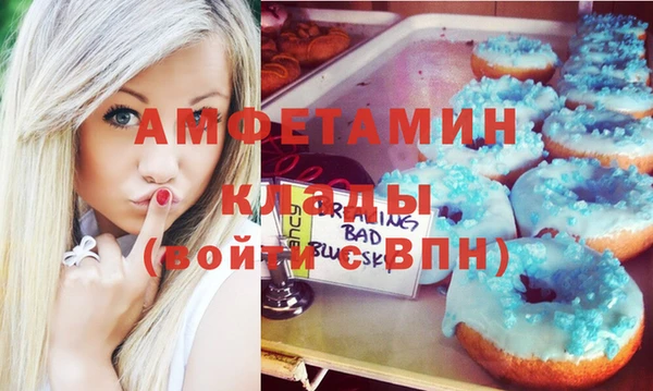 прущие грибы Горно-Алтайск