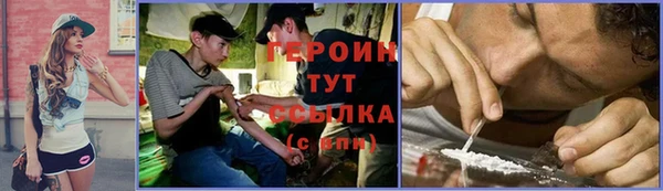 прущие грибы Горно-Алтайск