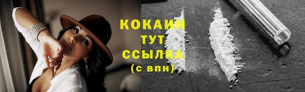 прущие грибы Горно-Алтайск