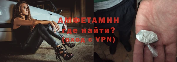 прущие грибы Горно-Алтайск