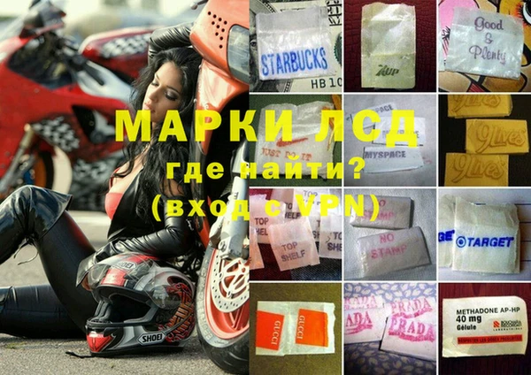 сатива Карпинск