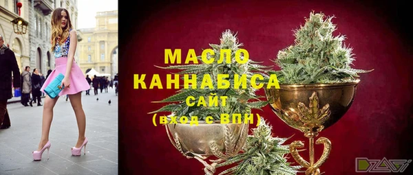 прущие грибы Горно-Алтайск