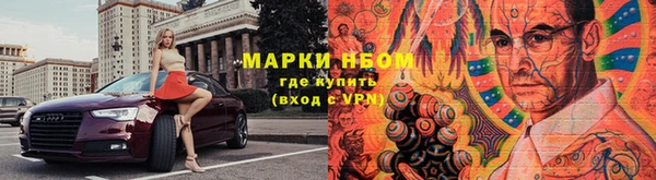 прущие грибы Горно-Алтайск