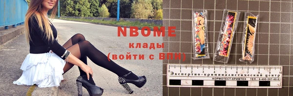 прущие грибы Горно-Алтайск