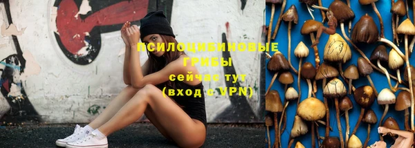 прущие грибы Горно-Алтайск
