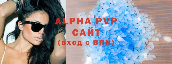 прущие грибы Горно-Алтайск