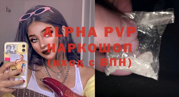 прущие грибы Горно-Алтайск