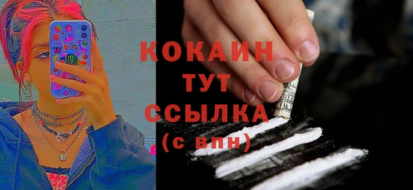 прущие грибы Горно-Алтайск