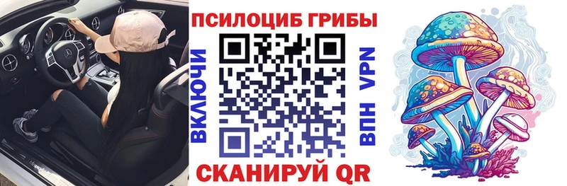 Псилоцибиновые грибы Magic Shrooms Звенигород